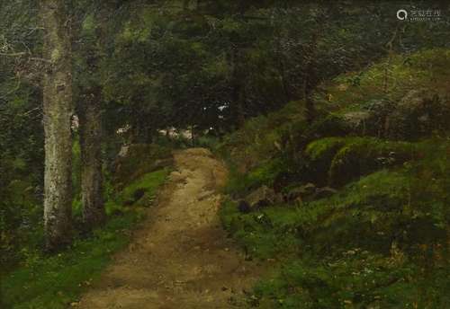 20thC British School. Woodland path, oil on canvas, 31cm x 45cm.