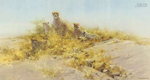 David Shepherd (1931-2017). The Cheetahs of Namibia, artist signed limited edition coloured print 1