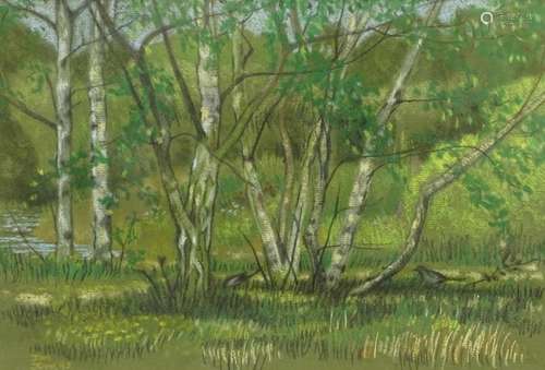 Janet Minty (20thC). Woodland scene, pastel, signed and dated June (19)95, 24.5cm x 35.5cm.