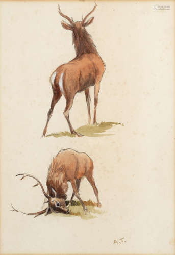 Archibald Thorburn (British, 1860-1935) Studies of stags; a pair