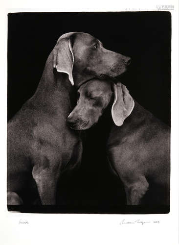 William Wegman (born 1943) Friends