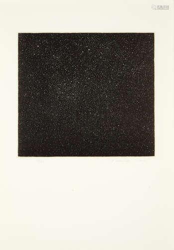 Vija Celmins (born 1939) Night Sky