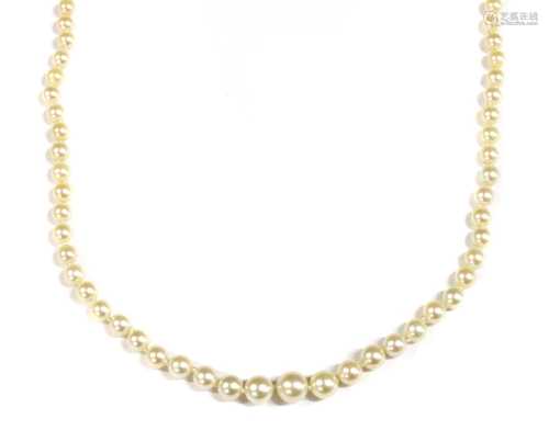 A single row graduated cultured pearl necklace, by Mikimoto,