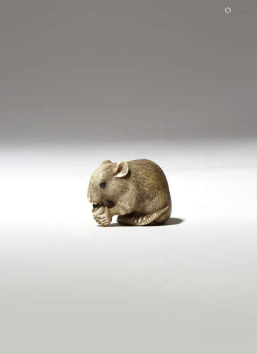 λ A JAPANESE IVORY NETSUKE OF A RAT MEIJI PERIOD, 19TH CENTURY The rodent naturalistically carved,