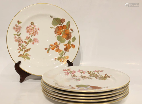 6 Pics Royal Wooster Porcelain Plates