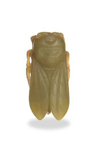 Chinese Yellow Jade Cicada, 18th century or earlier