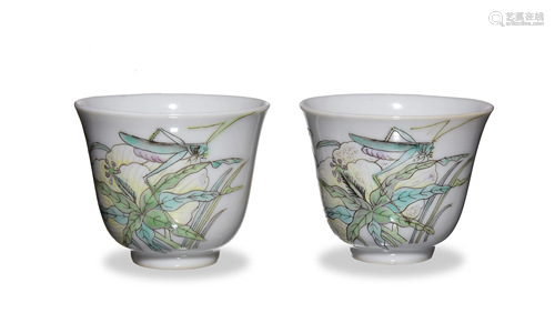 Pair of Chinese Cups with Shen De Tang Mark