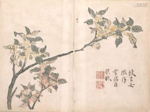 Chinese school 19th Century pen and ink on paper, depicting Osmanthus blossoms, inscribed 