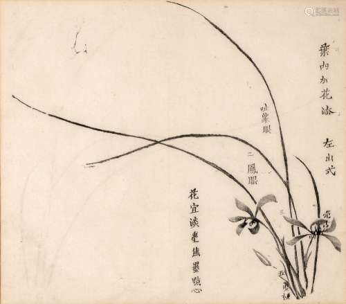 Chinese school 19th Century monochrome study, depicting lilies, with inscriptions to the page