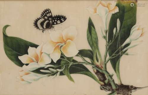 SET OF SEVEN CHINESE PITH PAPER PAINTING, QING DYNASTY, 19TH CENTURY