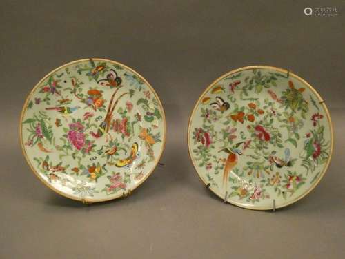 CHINA, Canton end XIXth century Pair of porcelain plates decorated with flowers and butterflies on a green background. Diam : 25cm