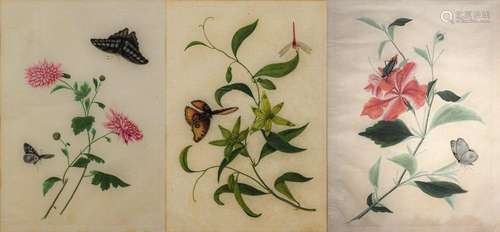 FLOWER WITH BUTTERFLY AND GRASSHOPPER. China, 19th…