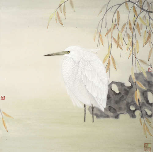 杨立奇（b.1979） 鹭鸟 镜片 设色纸本