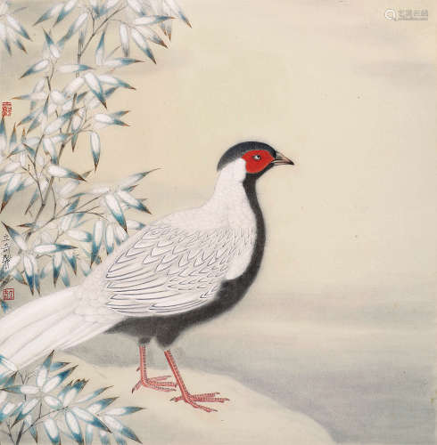 杨立奇（b.1979） 锦鸡 镜片 设色纸本