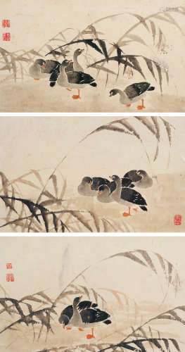 边寿民（1684～1752） 芦雁图 镜片 设色纸本