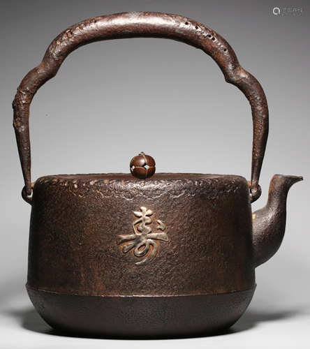 AN IRON POT WITH NATURE PATTERN