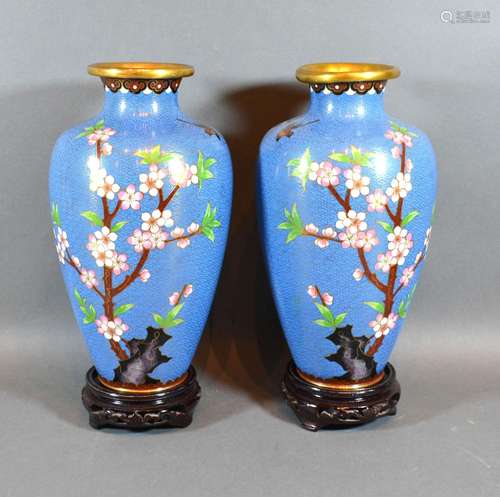 A Pair of Cloisonne Oviform Vases with foliate decoration upon a pale blue ground, each with a