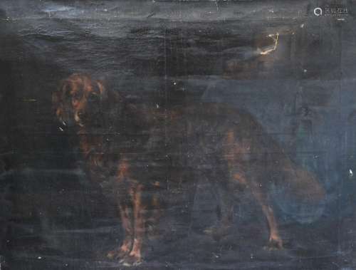 19th Century English School 'Study of a Dog within an Interior' a large oil on canvas 102 x 127 cms