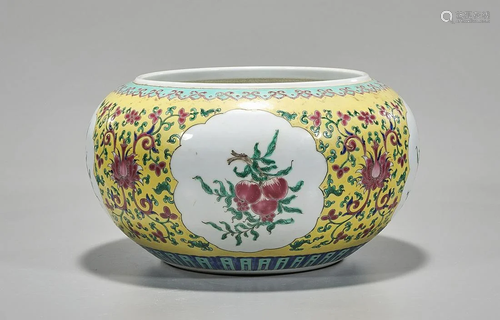 Chinese Enameled Porcelain Water Pot