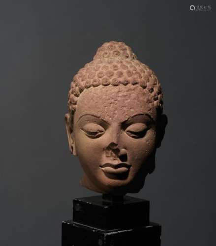Tête de Buddha Inde, Époque Gupta ca 4° 5° siècles…