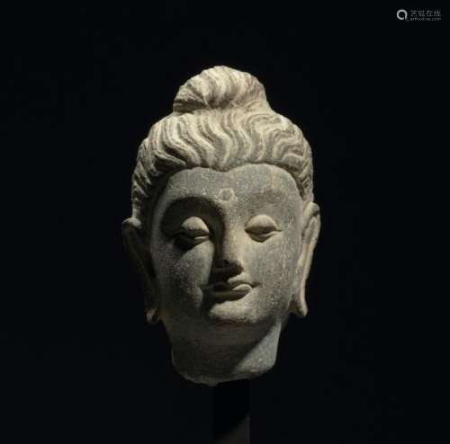 Tête de Buddha Art du Gandhâra, 2° 5° siècles Schi…