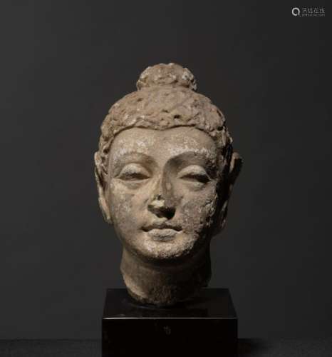 Tête de Buddha Art du Gandhâra ca 2° 5° siècles St…