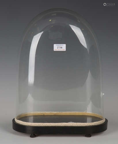 A late Victorian glass display dome, height 37cm, width 30cm, depth 14.5cm, on an ebonized base.