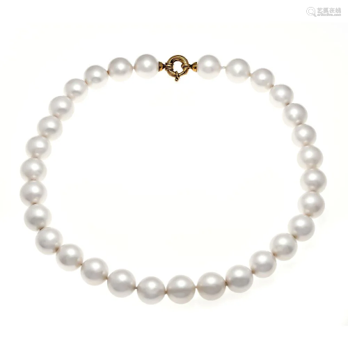 Shell pearl necklace with spri