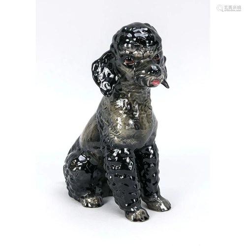 Sitting poodle, Goebel, 20th c