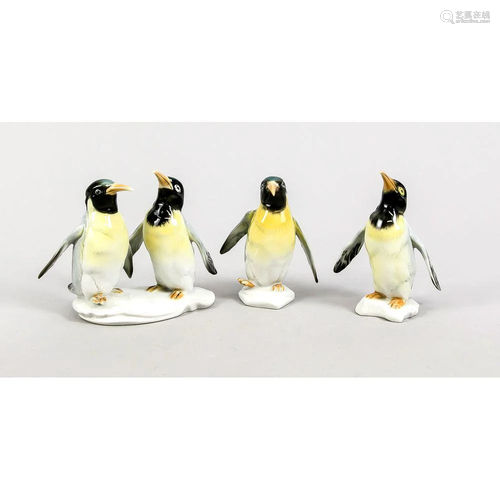 PinguinpÃ¤rchen und zwei einzel