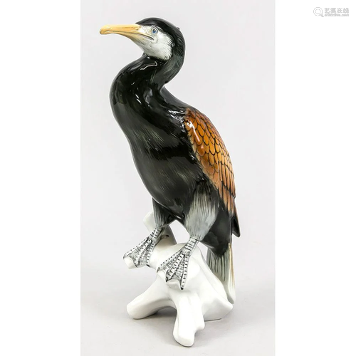 Kormoran, Ens, Modellnr. 7552,