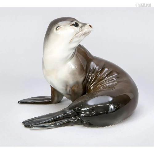 Reclining sea lion, Rosenthal,