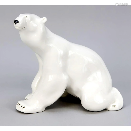 Large polar bear, Lomonossov f