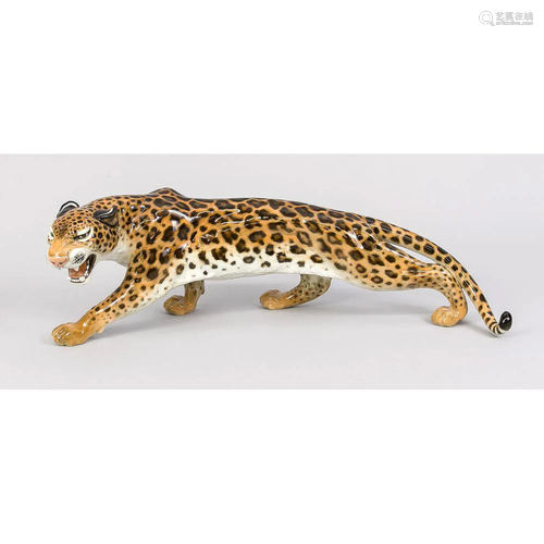 Schleichender Leopard, Hutsche