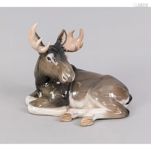 Large lying moose, Royal Copen