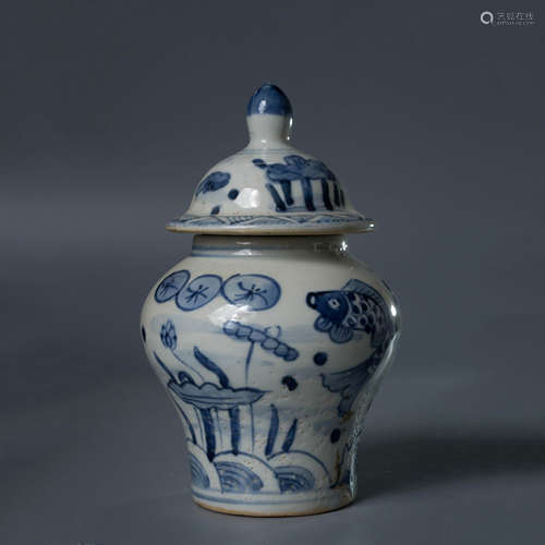 A Chinese Blue and White Fish and Algae Pattern Porcelain Jar