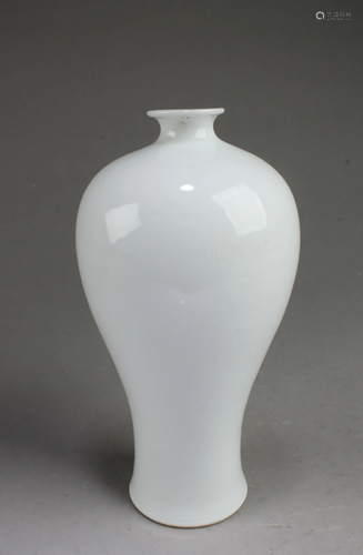 Chinese Meiping Vase