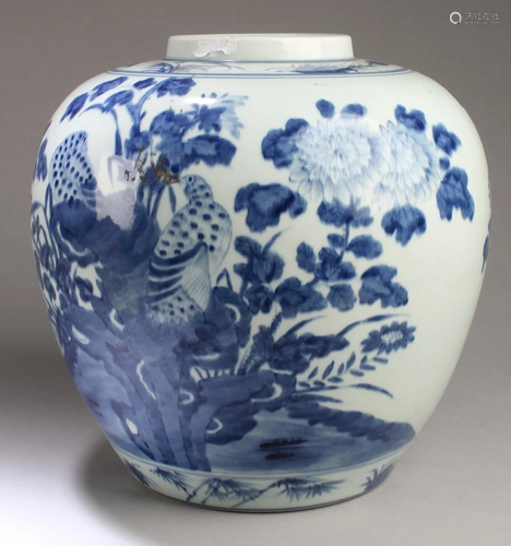 Chinese Blue & White Porcelain Jar