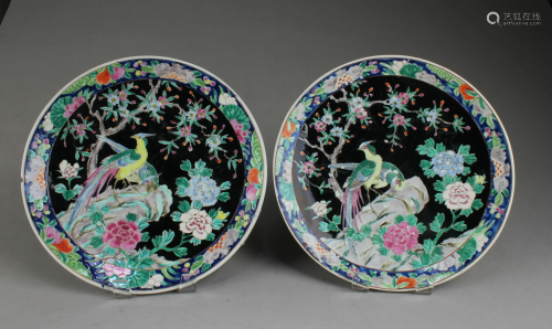 A Pair of Porcelain Plates