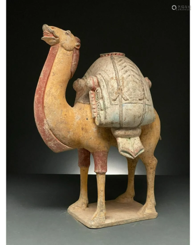 CHINA, TANG DYNASTY LARGE POTTERY BACTRIAN CAMEL - TL