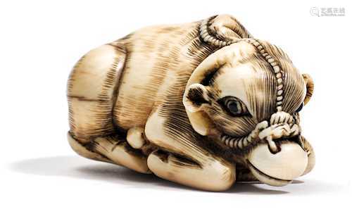 NETSUKE EINES LIEGENDEN OCHSEN.