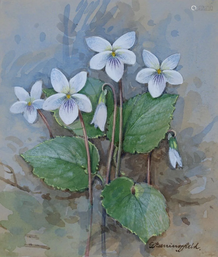 Gordon Beningfield (1936 - 1998) Sweet White Viole