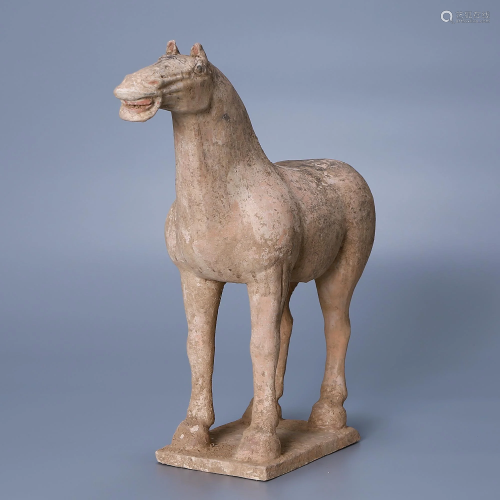 White Pottery Painted Horse in Tang Dynasty