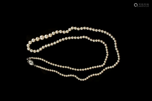 Natural Strand of Pearls