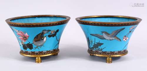 A PAIR OF JAPANESE MEIJI PERIOD CLOISONNE JARDINIERE'S, each with turquoise enamel ground with