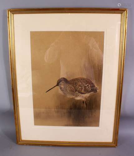 A FINE QUALITY JAPANESE MEIJI PERIOD PAINTING ON SILK OF A BIRD AMONGST REED, the detailed bird