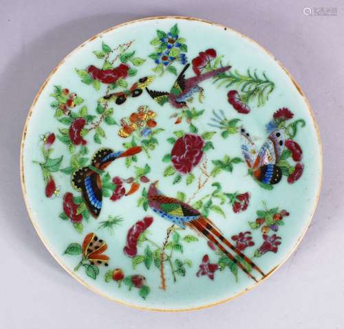 A 19TH CENTURY CHINESE CELADON FAMMILE ROSE PORCELAIN PLATE, decorated with peacocks and butterflies