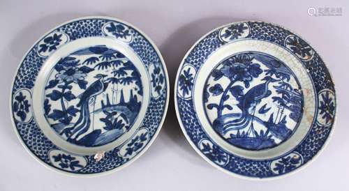 TWO CHINESE WANLI PERIOD BLUE & WHITE PORCELAIN SHIPWRECK PLATES - with peacock design, 26.5cm