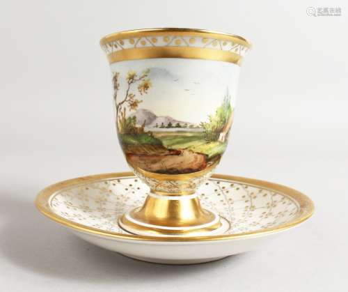 A BERLIN LANDSCAPE CUP AND SAUCER.