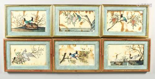 A SET OF SIX CHINESE PICTURES of birds on rice paper, in gilt frames. 7.5ins x 4ins.